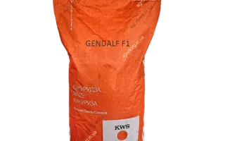 KWS GANDALF / КВС ГЕНДАЛЬФ