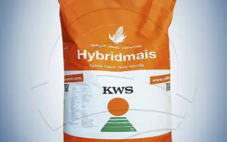 KWS DYNAMO / КВС ДИНАМО