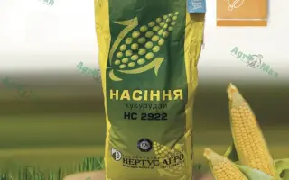 Киевский 271 М / Київський 271 М