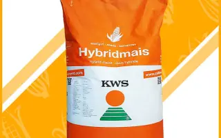 Kinemas / Кінемас