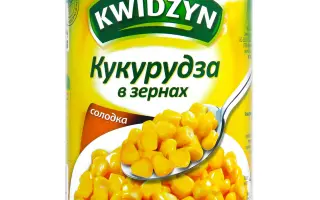 Kishkun TC 4250 (Gina) / Кішкун ТЦ 4250 (Джіна)