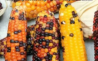 Confetti CS / Конфетті КС