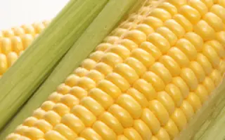 Криничанський 257 СВ