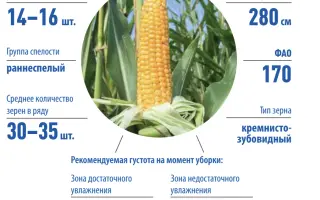 LG 25.10 / ЛГ 25.10