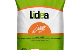 Lidano / Лідано