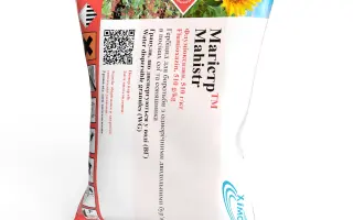 Magister / Магістер