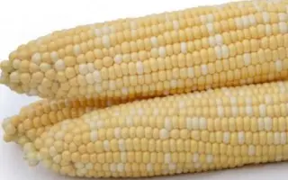 Мамалижний F1 / Мамалижний