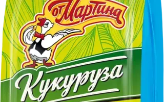 Мартон