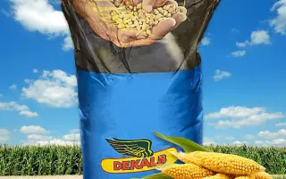 МАS 19H / МАС 19Х