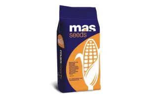 MAS 21E / МАС 21Е