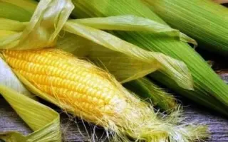 MAS 23K / МАС 23К