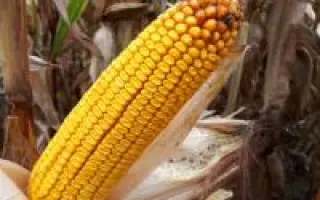 MAS 355B / МАС 355Б