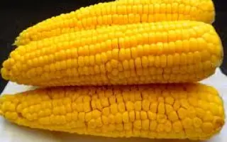 MAS 39T / МАС 39Т