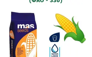 MAS 49P / МАС 49П