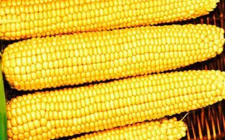 Megalito / Мегаліто