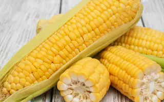 Morisat / Морісат