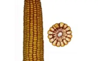 Мотрин 178 СВ