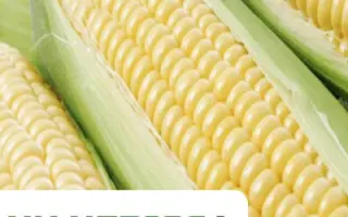 Nerissa / Неріса