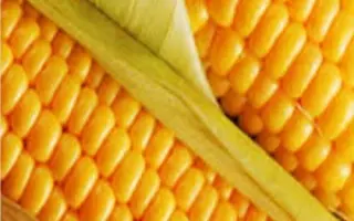 NK Columbia / НК Каламбія