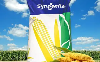 NK Lemoro / НК Леморо