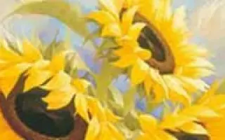 NK Olimpic / НК Олімпік