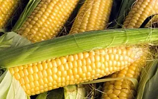 NK Perform / НК Перформ