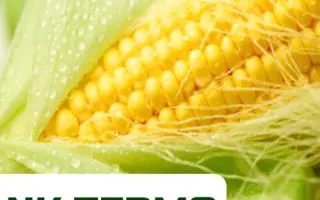 NK Timic / НК Тімік