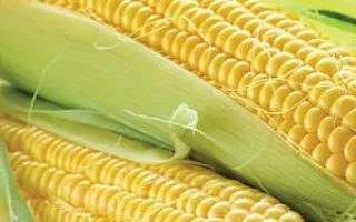 Одесский 480 МВ / Одеський 480 МВ