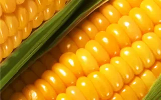 Орільський 357 СВ