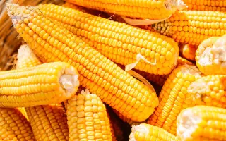 OSSK 396 / ОССК 396