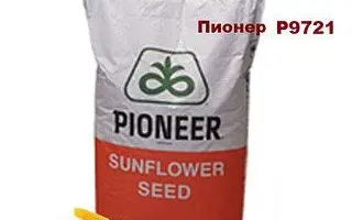 Р9721 / П9721