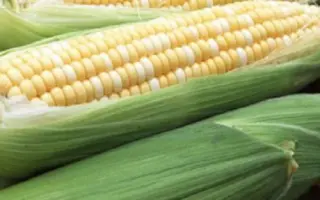 Петропавлівський 392 МВ