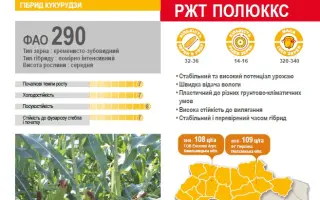 Poluxx / Полюккс