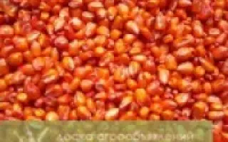 PR38B12 / ПР38Б12