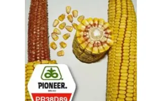 PR38H67 / ПР38Г67