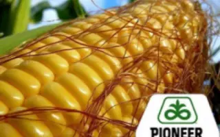 PR39B76 / ПР39Б76