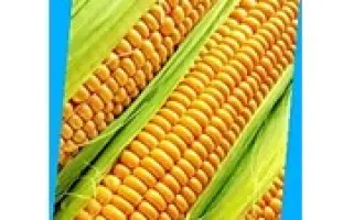 PR39W45 / ПР39В45