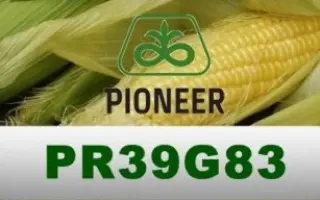 PR39G83 / ПР39Г83