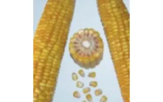 PR39K13 / ПР39К13