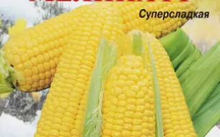 PR39N72 ( Sandrina) / ПР39Н72 (Сандріна)