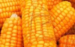 PR39R86 / ПР39Р86