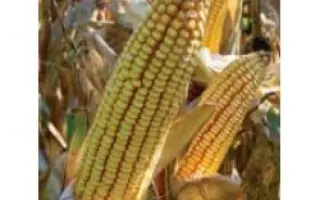 PR39F58 / ПР39Ф58