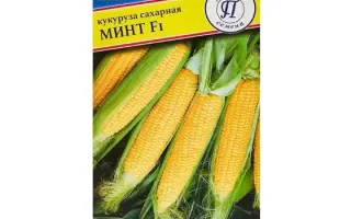 Prestig F1 / Престіж F1