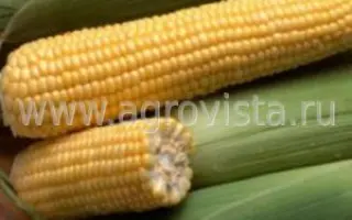 Realli CS / Реаллі КС