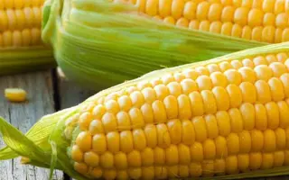 Репутація СВ