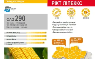 RGT EXXPOSANT / РЖТ ЕККСПОЗАНТ