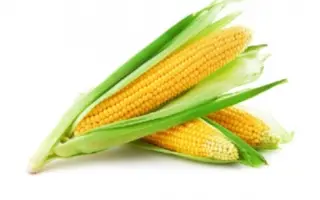 RICHARD KWS / РІЧАРД КВС