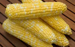 Rulexx / Рулеккс