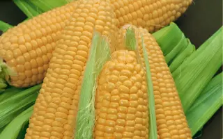 Semanto / Семанто