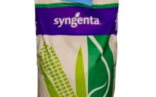 SY Enigma / СИ Енігма